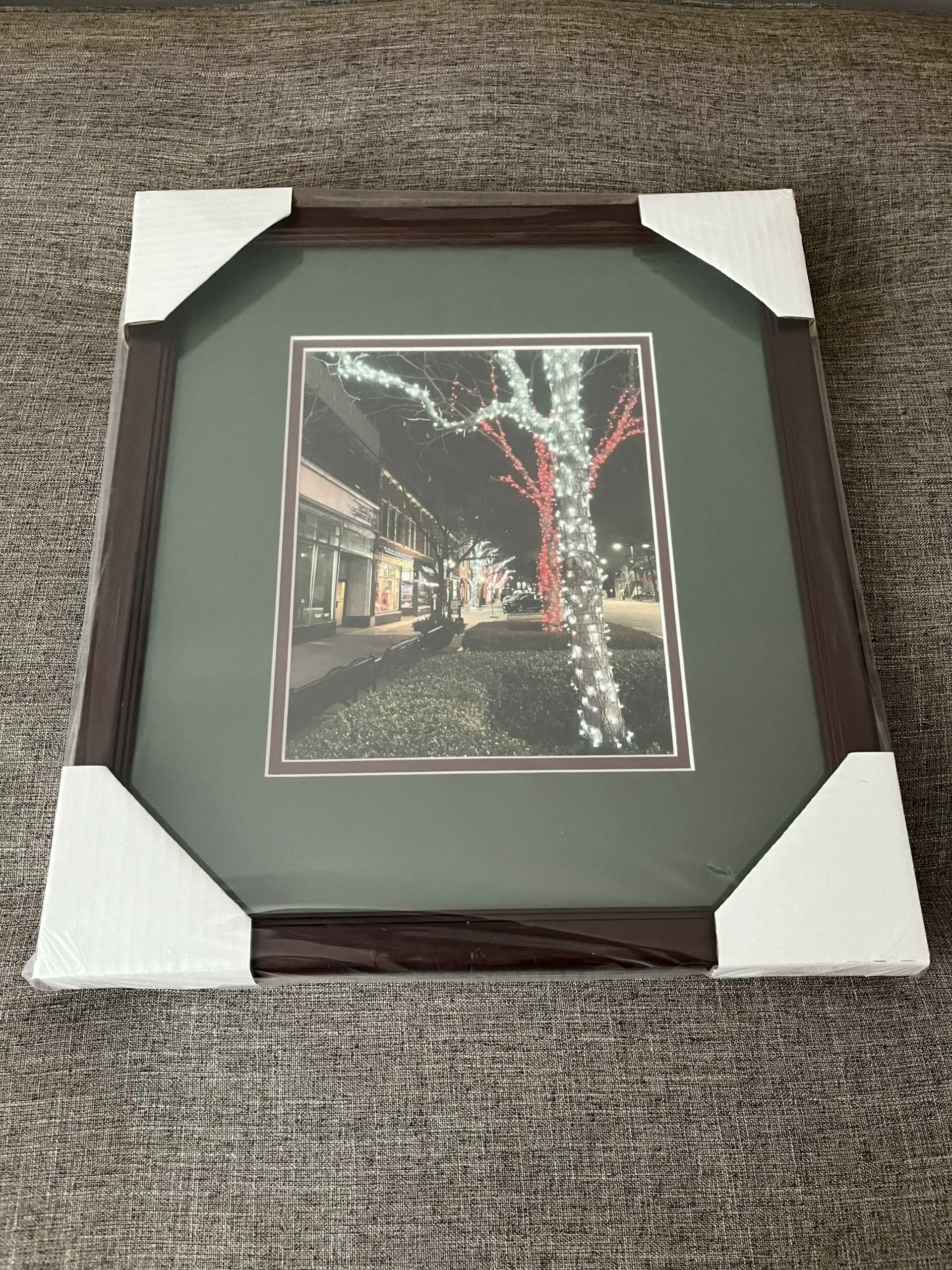 Oak Park Noel (Framed Photo) 16x18.