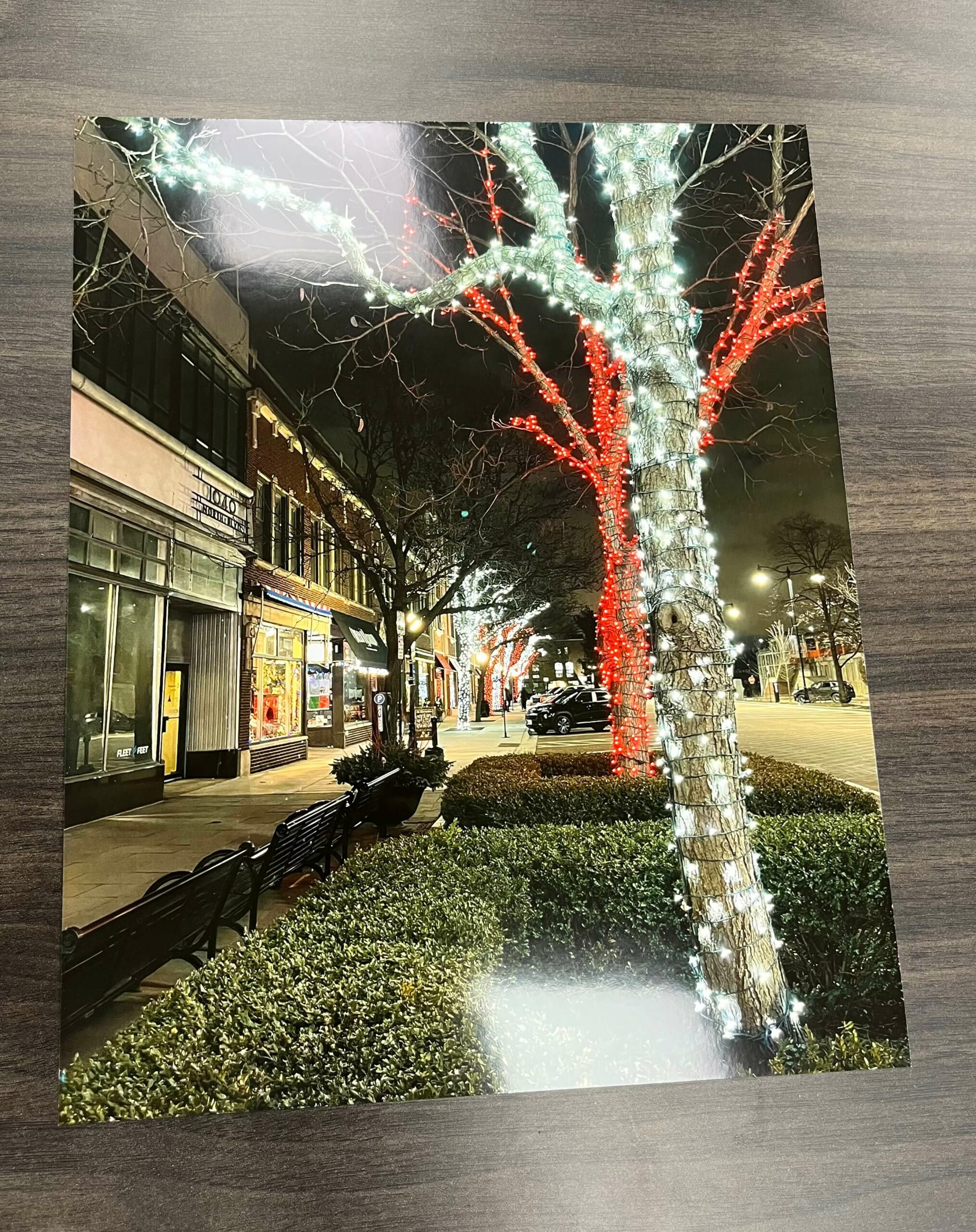 Oak Park Noel (Unframed Photo) 8x10
